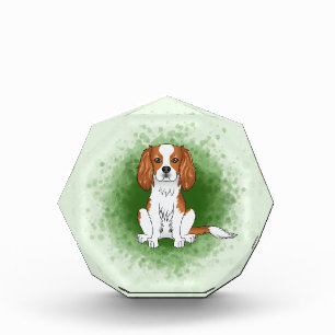 Blenheim Cavalier King Charles Spaniel On Green Photo Block