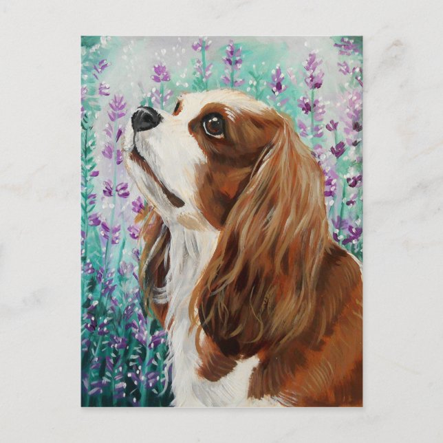 Blenheim Cavalier King Charles Spaniel Postcard (Front)