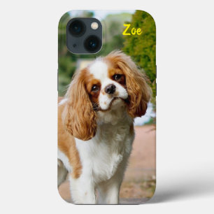 Blenheim Cavalier King Charles Spaniel Puppy Dog iPhone 13 Case