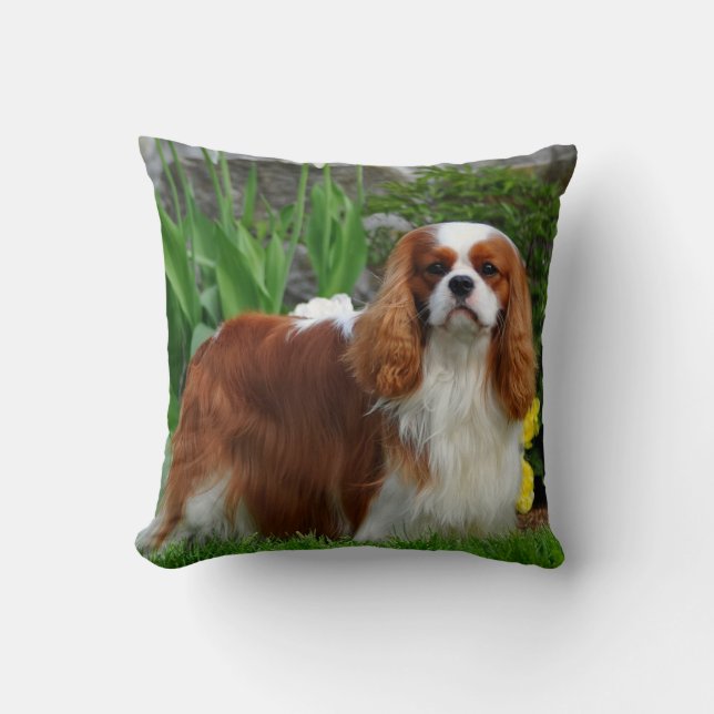 Blenheim Cavalier King Charles Spaniel Puppy Dog Cushion (Front)