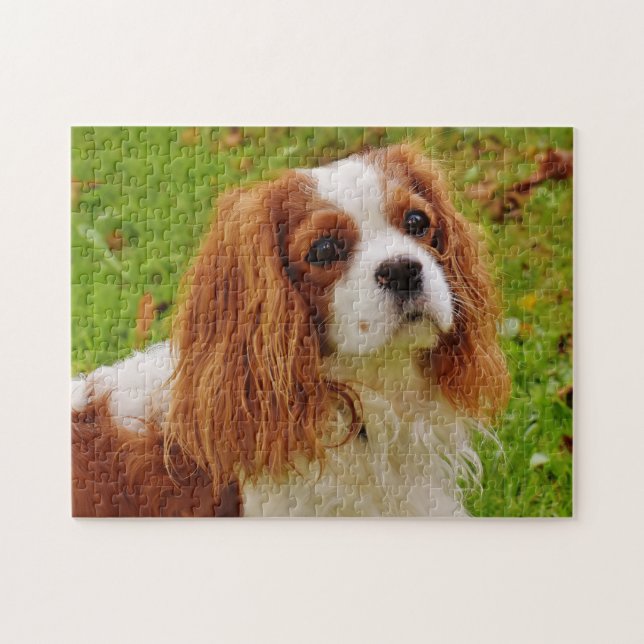 Blenheim Cavalier King Charles Spaniel Puppy Dog Jigsaw Puzzle (Horizontal)
