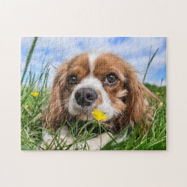 Blenheim Cavalier King Charles Spaniel Puppy Dog Jigsaw Puzzle (Horizontal)