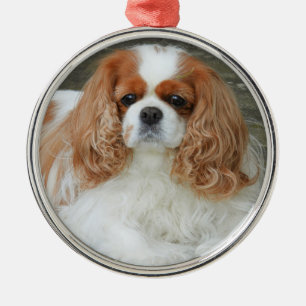 Blenheim Cavalier King Charles Spaniel Puppy Dog Metal Tree Decoration