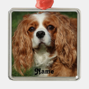 Blenheim Cavalier King Charles Spaniel Puppy Dog Metal Tree Decoration