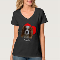 Blenheim Cavalier King Charles Spaniel
