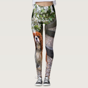 Blenheim Cavalier King Charles White Petals Leggings