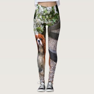 Blenheim Cavalier King Charles White Petals Leggings