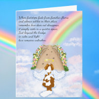 Blenheim Cavalier Rainbow Clouds Bridge Sympathy