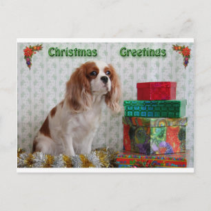 Blenheim Christmas Cavalier Holiday Postcard