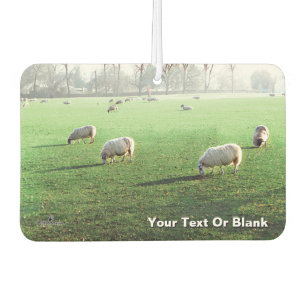 Blenheim Palace Sheep Car Air Freshener