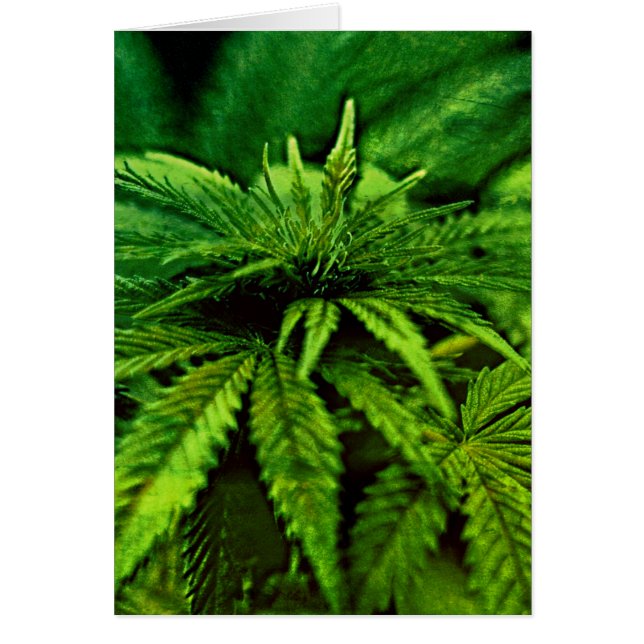 Blessed Be Weed Green (Front)