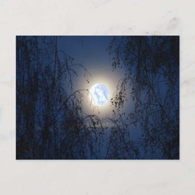 Blessed Virgin Mary in the Moon Lite Forest Postcard (Front)
