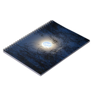 Blessed Virgin Mary in the Moon Lite Forest Spiral Notebook