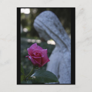 Blessed Virgin Mary & the Rose Postcard