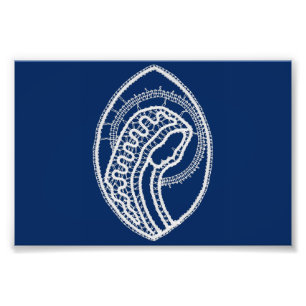 Blessed Virgin Mary, white lace, navy blue Photo Print