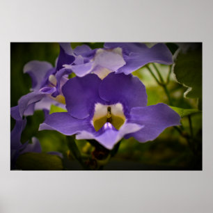 Blessing of Nature Poster