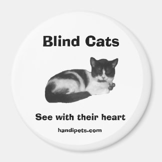 Blind Cat Magnet