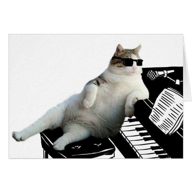 Blind cat pianist (Front Horizontal)