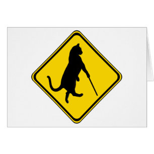Blind Cats Crossing !