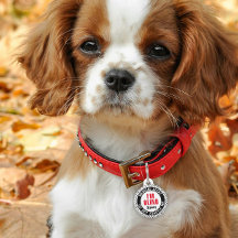 Blind Pet Medical Alert Custom Name Black Red