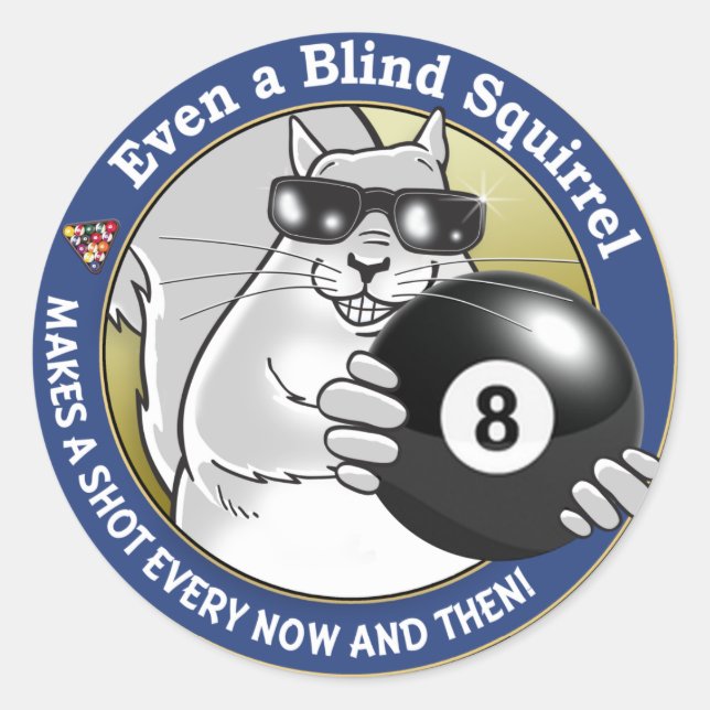 Blind Squirrel Pool Classic Round Sticker (Front)