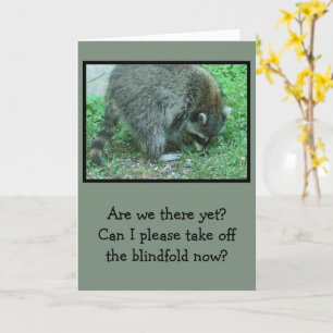"BLINDFOLDED" RACCOON/HUMOROUS BIRTHDAY WISHES CARD