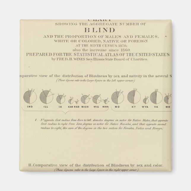 Blindness, Statistical US Lithograph 1870 Magnet (Front)