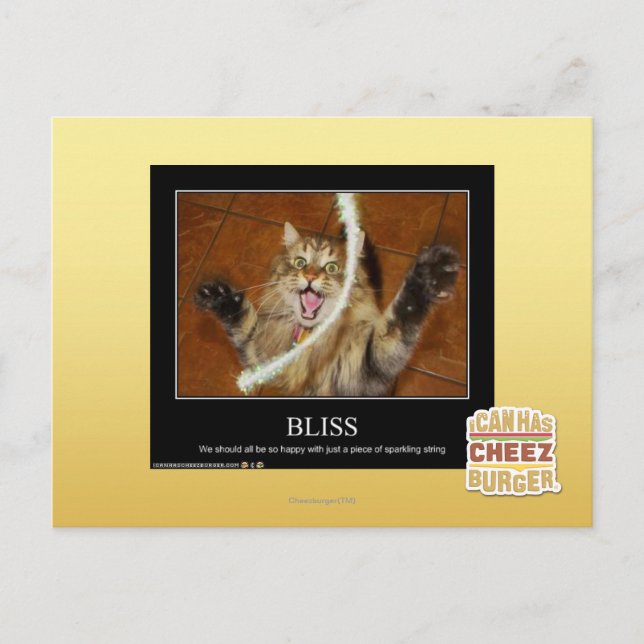 Bliss Postcard (Front)