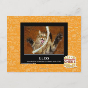Bliss Postcard
