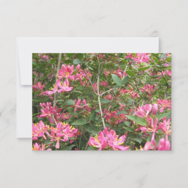Blissful Blossoms (Front)