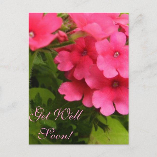 Blissful Blossoms Get Well Soon Postcard (Front)