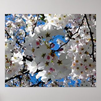 Blissful Blossoms Poster
