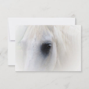Blissful Horse