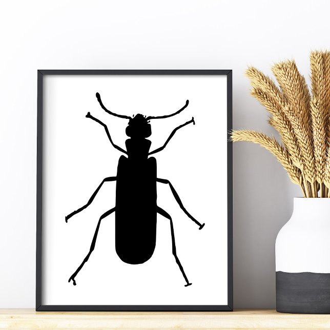 Blister Beetle Silhouette Photo Print (Blister Beetle Silhouette Photo Print)