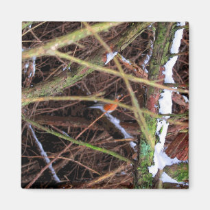 Blizzard Bird CB Magnet