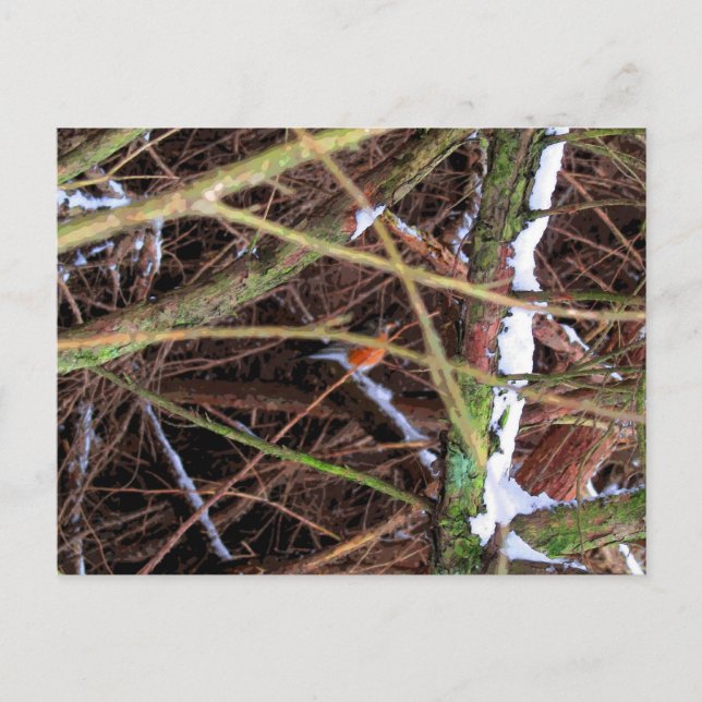 Blizzard Bird CB Postcard (Front)