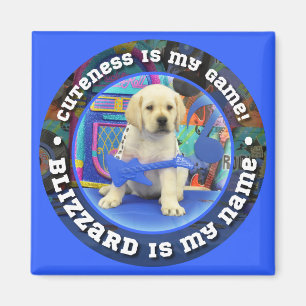Blizzard Name magnet