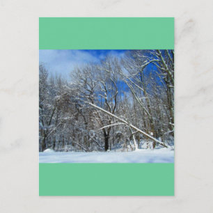 Blizzard Trees Oil Postcard