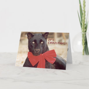 Blk Leopard holiday bow Card