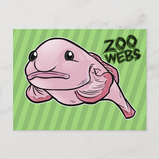 Blobfish Postcard (Front)