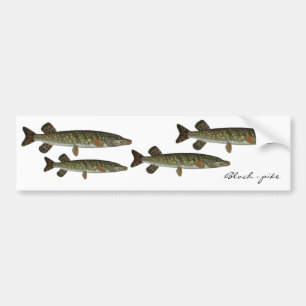 Bloch - pike bumper sticker