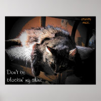 Blockin' my shine - Grumpy Angel