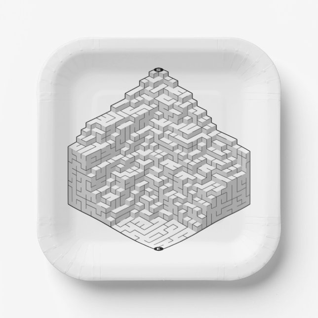 Blocks Maze Puzzle  Paper Plate (Front)