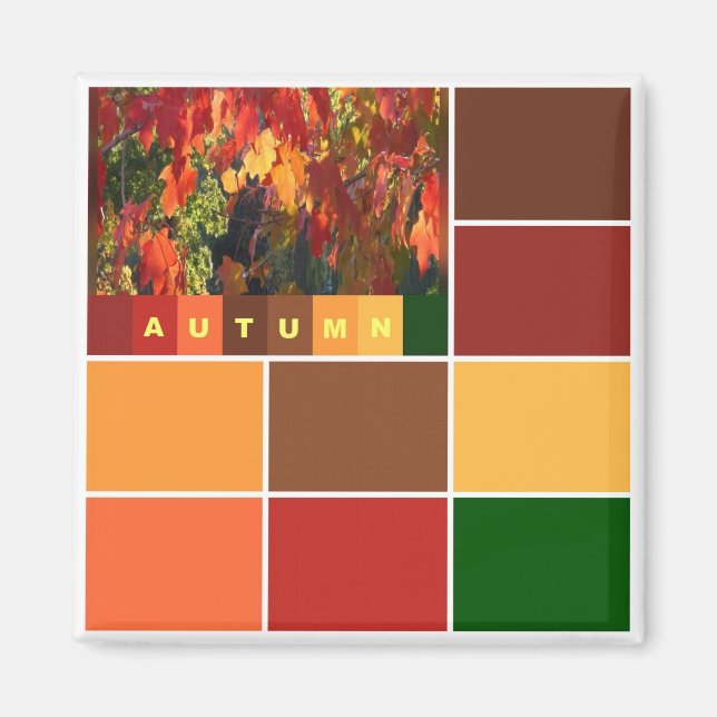 Blocks of Autumn Colours Magnet (Front)