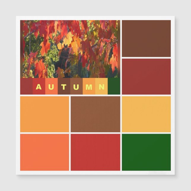Blocks of Autumn Colours Magnetic card (Front)