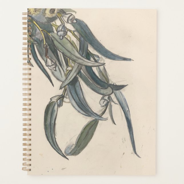 Bloeiende tak van een eucalyptus  planner (Front)