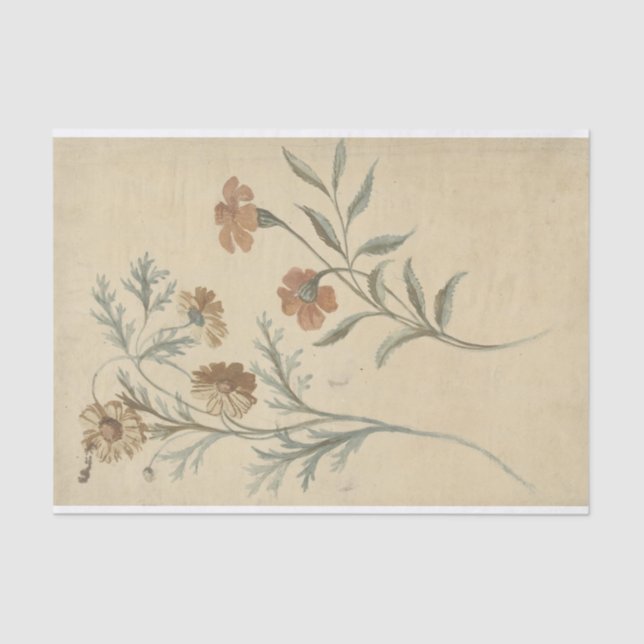 Bloemstudie van een Rode en een Bruine Bloem Tissue Paper (Front)