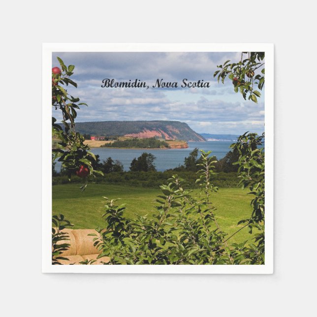 Blomidin, Nova Scotia, Canada Napkin (Front)