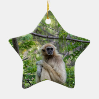 Blonde Gibbon Monkey - Hylobates lar Ceramic Tree Decoration