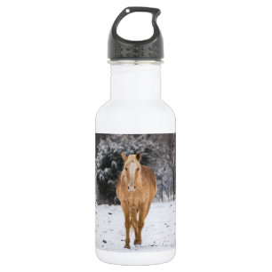 Blonde Horse Walk In The Snow Stainless Steel Wate 532 Ml Water Bottle